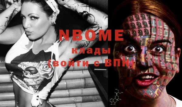 PSILOCYBIN Абаза
