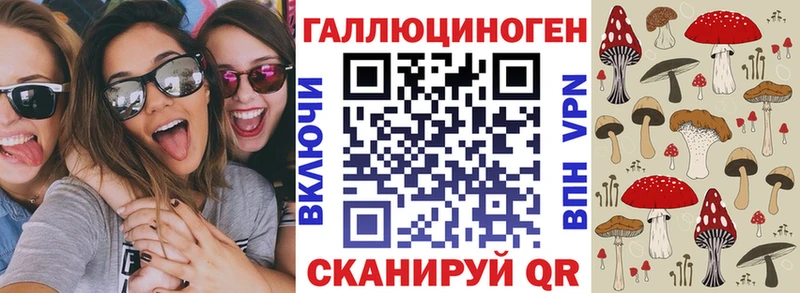 Псилоцибиновые грибы Psilocybine cubensis  блэк спрут как зайти  Хилок  как найти закладки 