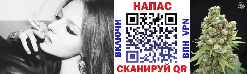 Бошки марихуана гибрид  Хилок 